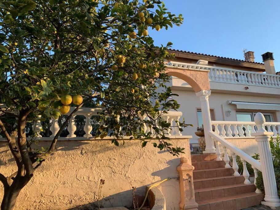 Leo Con Vistas Al Mar Y Piscina Privada Villa
